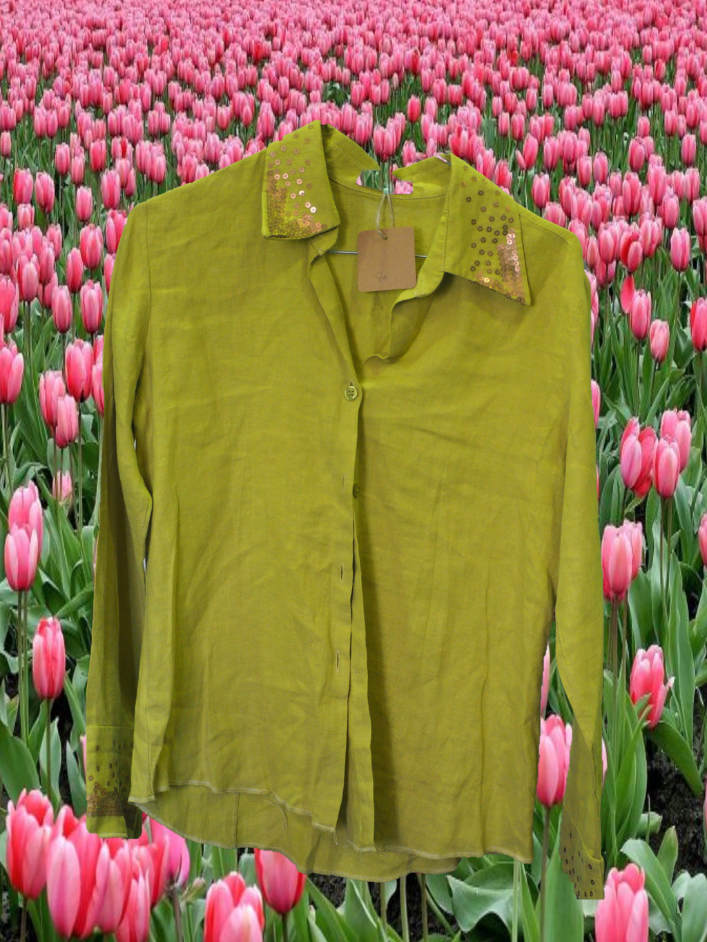 CAMISA SEÑORA MANGA LARGA VERDE CON DETALLES DE LENTEJUELAS EN EL CUELLO