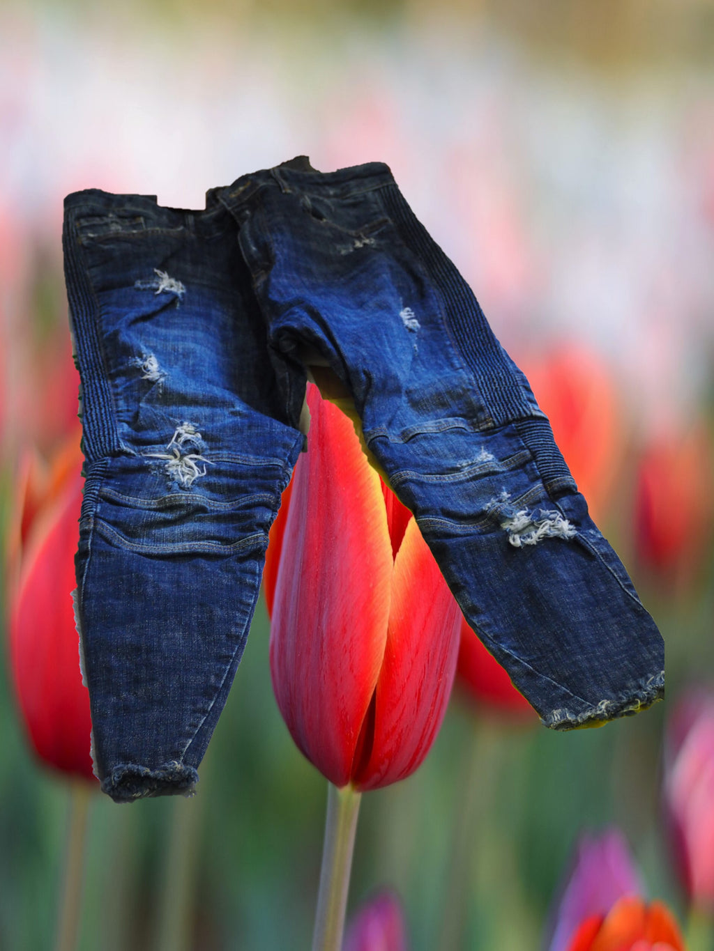 PANTALON VAQUERO HOMBRE CON DETALLES