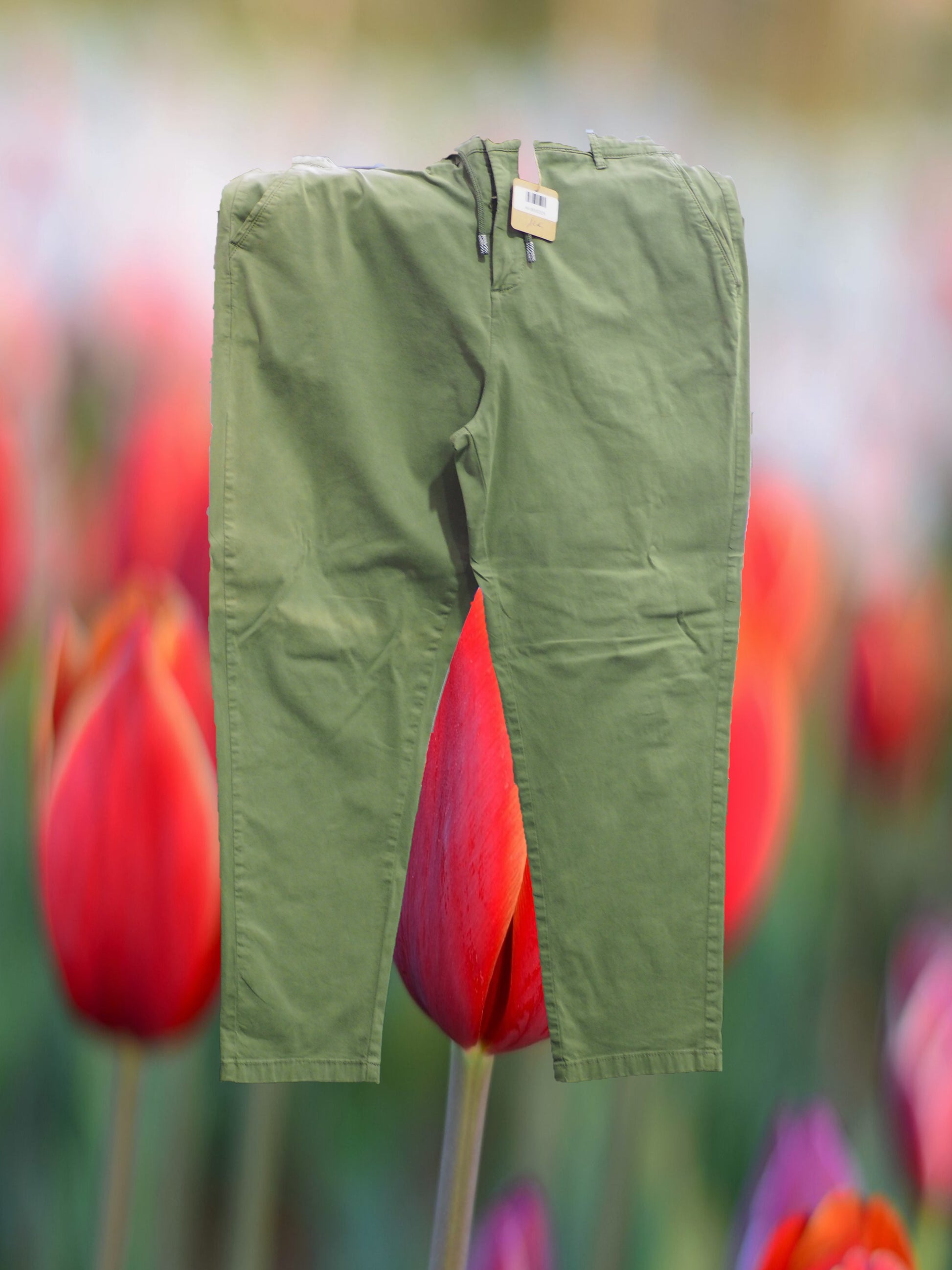 PANTALÓN CHINO HOMBRE VERDE