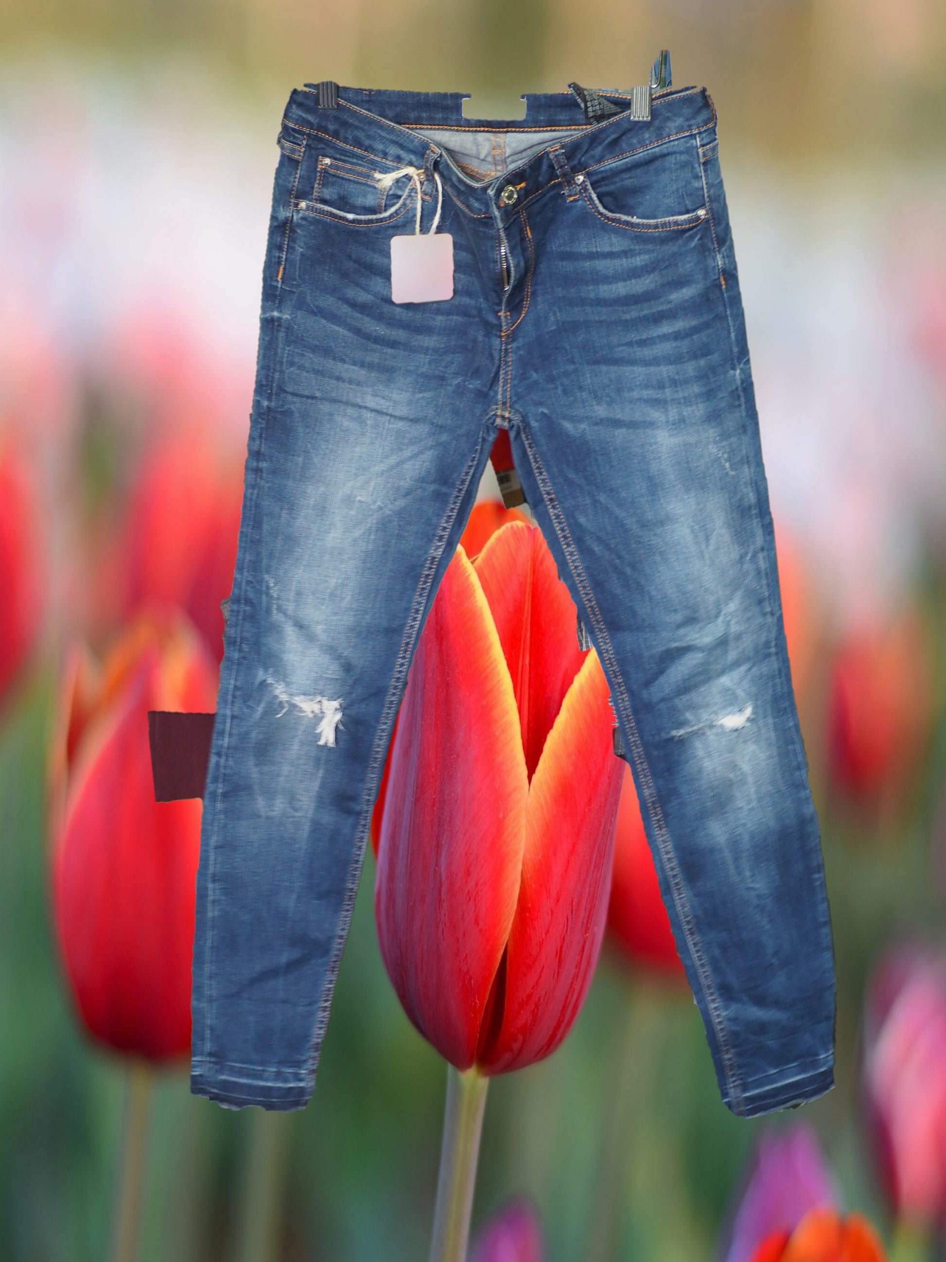 PANTALÓN MUJER VAQUERO