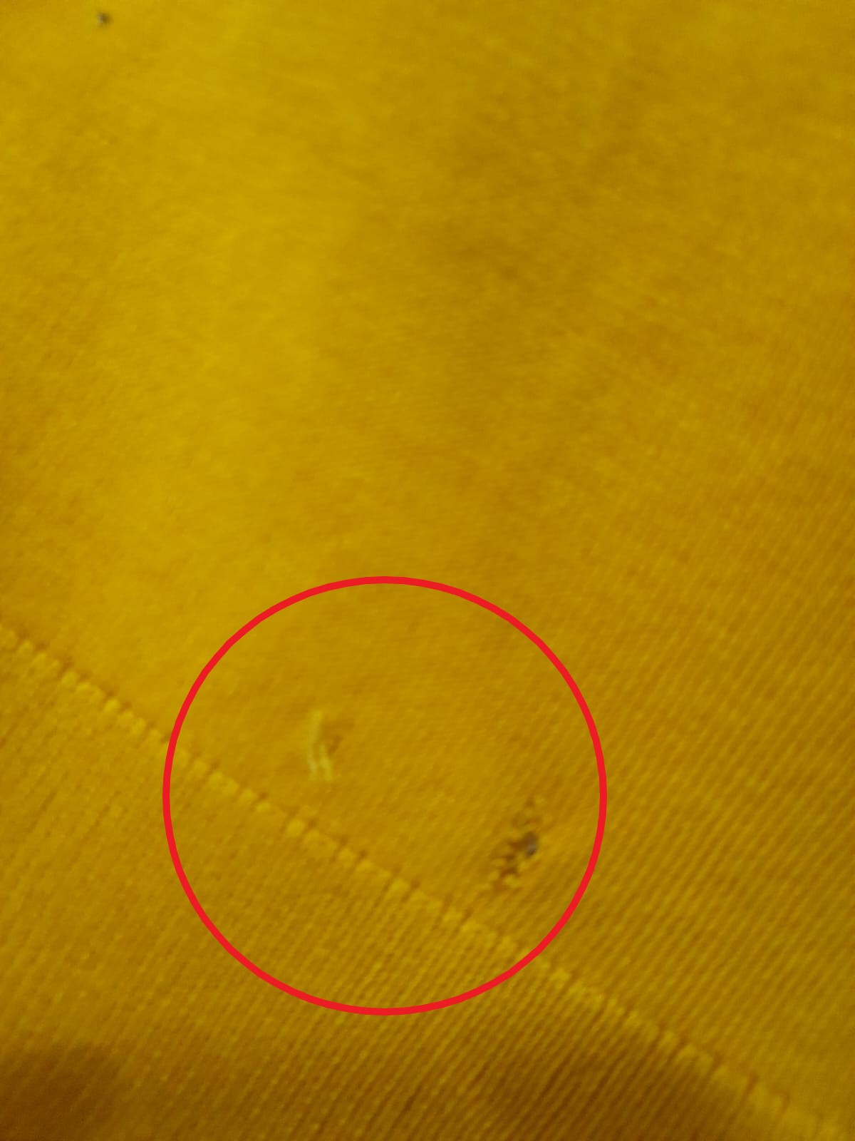 JERSEY MUJER MOSTAZA MANGA FRANCESA ABULLONADA DKNY( TARA ROTURA PARTE BAJA )