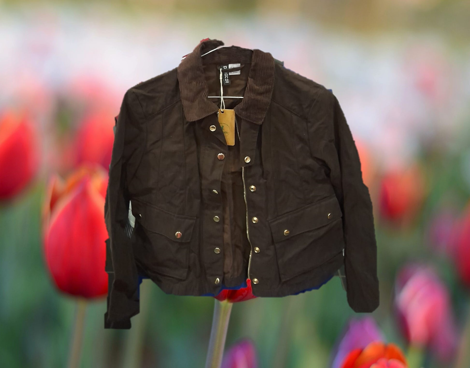 BARBOUR MARRON
