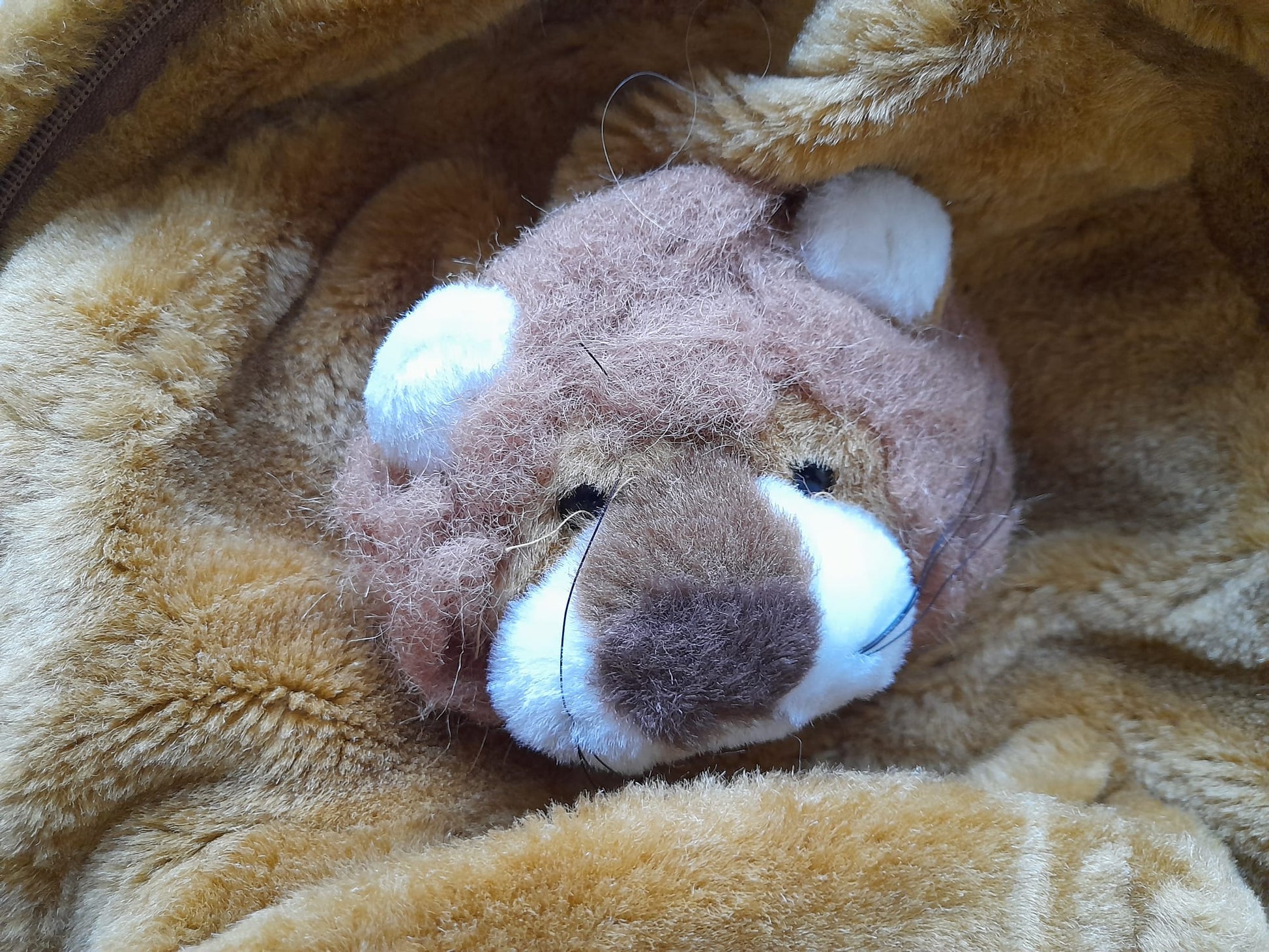 MOCHILA NIÑ@ CON PELUCHE LEÓN